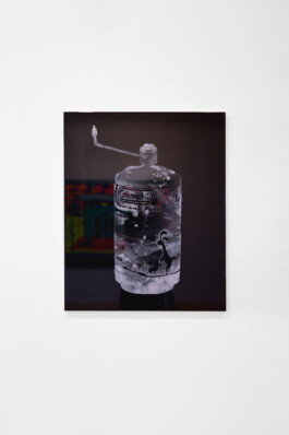 Franziska Sophie Geissler